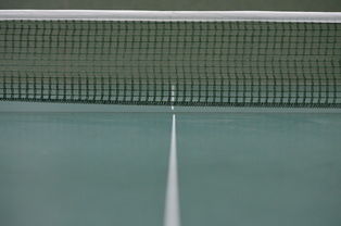 开云体育官网-奥地利乒乓球队轻取法国乒乓球队，许昕统治全场