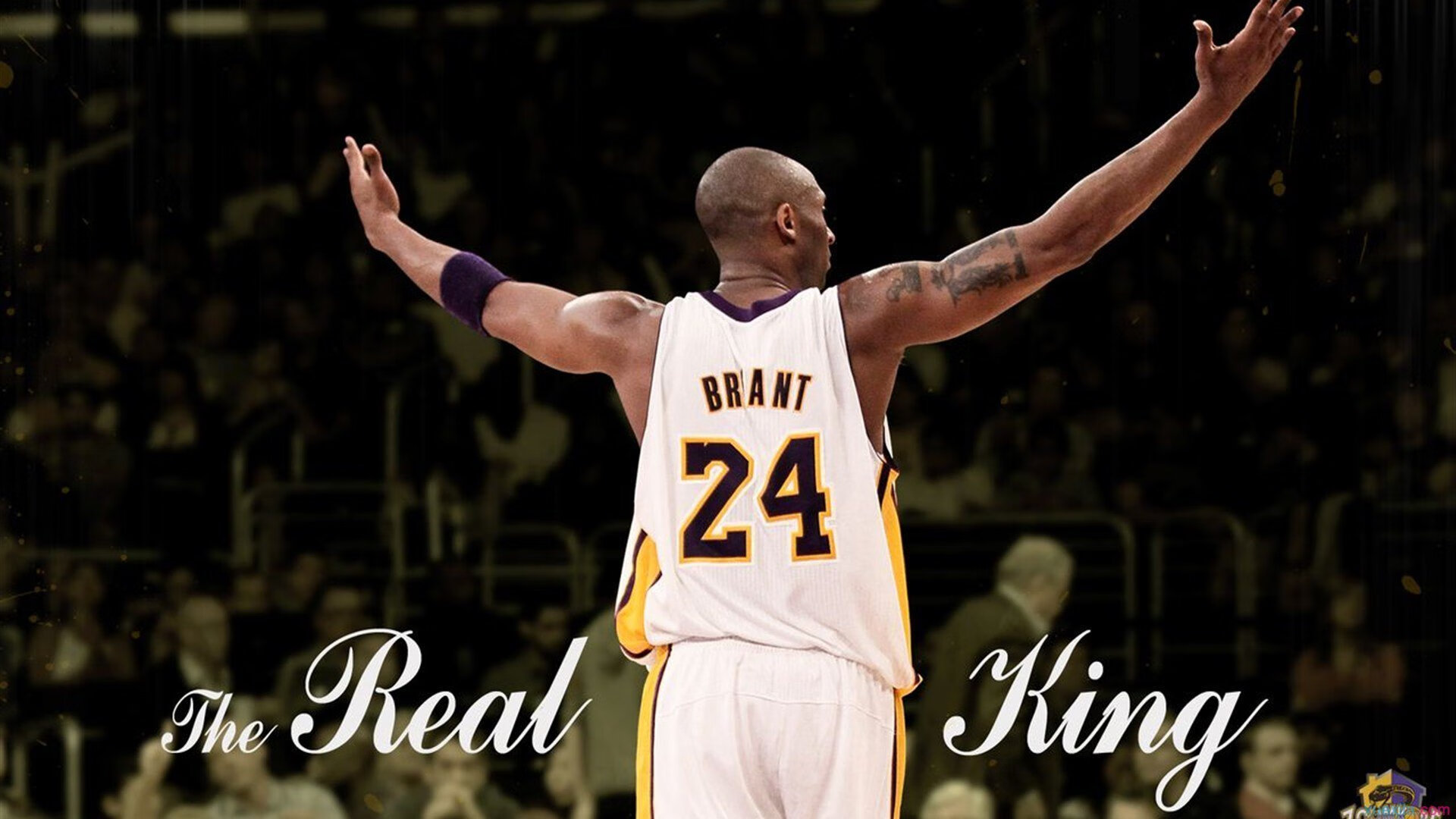 体育跨界焦点,F1新赛季揭幕战与吉林队强行终结开拓者的激情碰撞